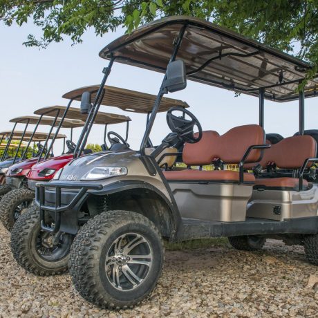 Golf Cart Fleet Image